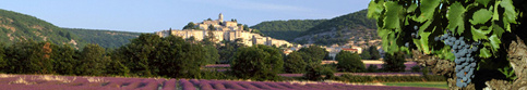 provence